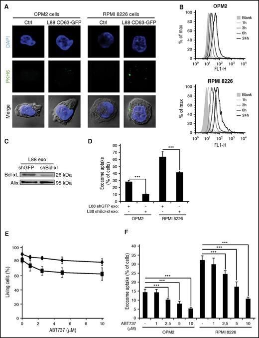 Figure 3. Bcl-xL is involved in uptake of L88 CD63-GFP cell-derived exosomes by MM cells. (A) Representative images uptake of L88 CD63-GFP PKH67-labeled exosomes by OPM2 or RPMI cells at 3 hours’ incubation. Ctrl, control. (B) Uptake of L88 CD63-GFP PKH67 labeled exosomes by OPM2 or RPMI cells at 1, 3, 6, or 24 hours of incubation. (C) Bcl-xL levels in exosomes derived from L88 cells transfected with shGFP (control) or shBcl-xL, as demonstrated by western blotting. Alix serves as a loading control. (D) Percentage of OPM2 or RPMI PKH67-positive cells, after 3 hours of incubation with L88 shGFP or L88shBcl-xL PKH67-labeled exosomes (mean ± SD, n = 3). ***P < .001. (E) Effect of ABT737 treatment in cell survival measured by PI staining in OPM2 (♦) and RPMI (▪) cell lines at 3 hours in different concentrations (1, 3, 5, and 10 μM) of the Bcl2/Bcl-xL inhibitor (mean ± SD, n = 3). (F) Percentage of OPM2 or RPMI PKH67-positive cells after 3 hours of incubation with L88 CD63-GFP PKH67-labeled exosomes that have been preincubated with the indicated concentrations of ABT737 (means ± SD, n = 3). ***P < .001.