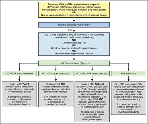 Figure 6. MD Anderson Cancer Center proposed algorithm for management of refractory or resistant CMV infection with UL54 mutation(s). Professional illustration by Patrick Lane, ScEYEnce Studios.