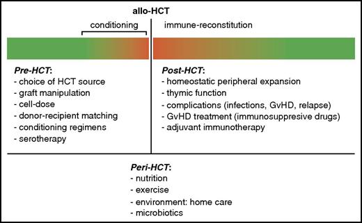 Figure 1. Pre-, peri-, and post-HCT factors affecting T-cell IR. Depicted in the bars are relative immune cell levels. Red, <reference values; risk for complications. Green, ≥reference values; adequate immunity.