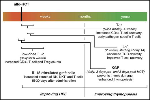 Figure 2. Overview on timing of noncellular posttransplantation interventions to improve T-cell IR via HPE and thymopoiesis.