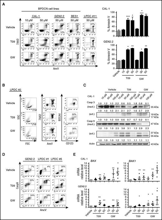 Figure 4. LXR activation in BPDCN cells induces apoptotic cell death. CAL-1, GEN2.2, BES1, and blood samples from 5 patients diagnosed with BPDCN (LPDC #1, #2, #5, #10, #11) were treated with increasing concentrations (10-50 µM) of LXR agonists T0901317 (T09) or GW3965 (GW) for 24 hours. Cell viability was assessed by AnxV and 7AAD staining and cytometry. (A) Left panel, Dot plots illustrate data obtained with cells treated with 50 µM LXR agonists, except for CAL-1 cells that were treated with 10 µM and 50 µM. Results from 1 representative experiment of 6 for CAL-1, 1 of 4 for GEN2.2 cells, and 1 representative sample (LPDC#11) of 5 for primary BPDCN samples tested. Right panel, The percentage of AnxV+ dead cells (mean ± SEM from 6 or 4 independent experiments for CAL-1 and GEN2.2, respectively), after LXR agonist treatment (*P < .05, **P < .01, ***P < .001, ****P < .0001, Mann-Whitney). (B) One freshly isolated blood sample obtained from a patient diagnosed with BPDCN was treated with 50 µM T0901317 (T09) or GW3965 (GW) for 24 hours. Cytometry dot plots from 1 representative sample of 5 different BPDCN represent the percentage of BPDCN cells (identified by CD123/BDCA4 staining) in the viable cell fraction of blood sample (ie, the AnxV−/7AAD− fraction) (*P < .05, Mann-Whitney). (C) CAL-1 cells were treated with increasing concentrations of LXR agonists, T0901317 (T09) or GW3965 (GW), for 6 hours. Analysis of full-length inactive (inact.) and cleaved active (act.) forms of caspase-3 and caspase-9 was performed by western blot. Expression of these proteins was compared with actin expression with the vehicle condition being considered as 1. Results from 1 representative experiment of 3. (D) BPDCN cells (GEN2.2 and 2 primary BPDCN samples, LPDC #1 and #5) were treated with 50 µM T0901317 (T09) or GW3965 (GW) for 6 hours. Caspase-9 activation on 7AAD− cell fraction (excluding late apoptotic and necrotic cells) was assessed by cytometry. One dot plot represents 1 representative experiment of 2 for GEN2.2 cells, and the other 2 dot plots represent the experiments performed on 2 BPDCN samples (LPDC #1 and #5). (E) CAL-1 and GEN2.2 cells were treated with increasing concentrations of LXR agonists (10 µM, 30 µM, and 50 µM) for 6 hours. BCL2, BAX, and BAK1 gene expression was assessed by qRT-PCR. Levels of mRNA were normalized to those of GAPDH for each sample and then expressed as fold change related to the average value for vehicle-treated cells. Cumulative data from 4 independent experiments expressed as mean ± SEM (*P < .05, **P < .01, Mann-Whitney) are shown. FSC, forward scatter; SSC, side scatter.