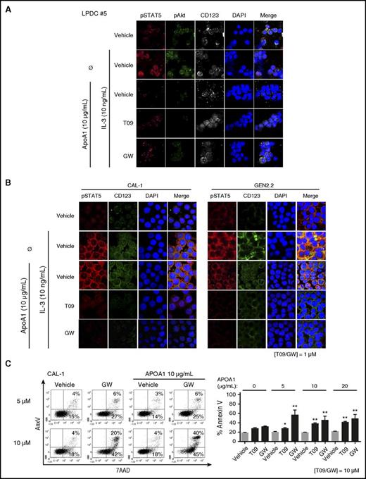 Figure 6. Cholesterol efflux stimulation in BPDCN cells amplifies LXR activation-induced effects. BPDCN CAL-1 and GEN2.2 cells or primary BPDCN samples were treated with 1 µM LXR agonists T0901317 (T09) or GW3965 (GW) for 24 hours. (A-B) Phospho-STAT5 (Y694) and phospho-Akt (S473) were assessed by confocal microscopy after LXR stimulation, followed by APOA1 (10 µg/mL) addition for 4 hours, and then IL-3 stimulation (10 ng/mL for 30 minutes). (A) Data from 1 representative sample of 2 BPDCN samples (LPDC #5, #8) are shown. (B) Data from 1 representative experiment of 3 for CAL-1 and GEN2.2 cells are shown. (C) CAL-1 cells were treated with 10 µM T0901317 or GW3965 simultaneously to increasing concentrations of APOA1 (5, 10, or 20 µg/mL) for 24 hours. Cell death was assessed by AnxV/7AAD staining analyzed by cytometry. Dot plots from 1 representative experiment of 6 are shown (left panel); only data obtained with GW treatment are depicted. Cumulative data from the 6 independent experiments expressed as mean ± SEM of dead AnxV+ cells are shown (right panel, *P < .05, **P < .01, Mann-Whitney).