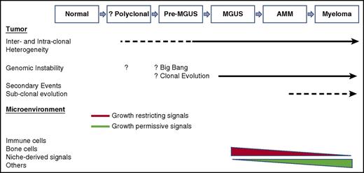 Figure 1. Tumor and microenvironment in natural history of gammopathies. Emerging data suggest that much of the genomic complexity and intraclonal heterogeneity is already well established by MGUS stage. The mechanism underlying the origins of this instability is not clear but may involve a big bang followed by clonal evolution. Clinical dormancy of MGUS or AMM lesions depends in part on interactions with the tumor microenvironment, and alteration of these signals can promote changes in growth kinetics at the population level, manifested as malignant transformation. Genetic complexity of MGUS also points to the presence of proximate, potentially less complex lesions termed pre-MGUS. We hypothesize that these lesions emerge from an initial polyclonal response to endogenous or exogenous antigens. Tumor evolution is driven by both tumor-intrinsic and tumor-extrinsic events that may be interdependent.