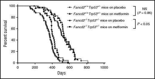Figure 6. Metformin protects Fancd2−/− mice from tumor development. Kaplan-Meier survival curves of the Fancd2−/−Trp53+/− mice and Fancd2+/+Trp53+/− mice. For Fancd2−/−Trp53+/− mice, the data represent 31 mice for metformin treatment and 60 mice for placebo treatment. For Fancd2+/+Trp53+/− mice, the data represent 30 mice for metformin treatment and 60 mice for placebo treatment. Tumor samples and selected tissues were fixed in 10% phosphate-buffered formalin, stained with hematoxylin and eosin, and examined under a microscope. The Kaplan-Meier survival curves were generated by Prism 6.0c Software (GraphPad Software, Inc.), and P values were calculated using the log-rank (Mantel-Cox) test.