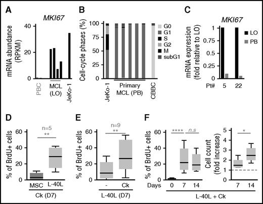 Figure 1. CD40L+ but not mesenchymal cells support primary MCL cell proliferation ex vivo. (A) Whole transcriptome sequencing analysis of mRNA abundance (RPKM) of MKI67 (Ki67 gene) in cyclinD1+ primary MCL cells from LO, CD19+ PB B cells (PBC)s from 2 healthy volunteers, and JEKO-1, as previously described.54 (B) Cell distribution in the different cell-cycle phases (%) for 1 proliferating cell line (JeKo-1), 5 primary PB MCL samples, and CD5+ CBBCs (healthy donor). The results are detailed in supplemental Figure 1B. (C) qRT-PCR analysis of the MKI67 gene in primary cells concomitantly isolated from LO and PB for 2 MCL patients. Pt, patient. (D) BrdU/propidium iodide staining of primary MCL cells (n = 5) in the presence of hMSC or L-40L coculture layer and cytokines for 7 days as indicated; paired Student t test. (E) BrdU/propidium iodide staining of primary MCL cells (n = 9) in the presence of L-40L coculture layer with or without cytokines for 7 days as indicated; paired Student t test. (F) Left (n = 9): cell-cycle analysis (% of BrdU+ cells) of primary MCL cells for the time and condition indicated; Student t test. Right (n = 5): total number of live cells is represented as fold increase from input on day 0; Student t test. n.s., not significant. *P < .05, **P < .01, ****P < .0001.