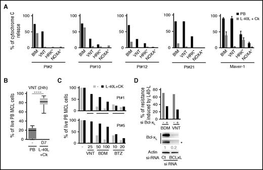 Figure 3. Microenvironment-dependent loss of mitochondrial priming and acquired drug resistance in primary MCL cells. (A) BH3 profiling of primary MCL from 4 patients and Maver-1 cells performed as described in “Methods.” Values for Maver-1 cells are the mean of 3 independent experiments. (B-C) Primary MCL cells freshly isolated from PB (−) or after 7 days on an L-40L or hMSC layer in the presence of cytokines were cultured with VNT (25 nM), bendamustine (BDM; 50-100 µM), or BTZ (10-20 nM) for 24 hours. Viability was then addressed by annexin-V staining, the % of live cells is represented as the % of control (without treatment). ****P < .0001; paired Student t test. (D) siRNA against BCLXL reduced Bcl-xL protein expression and impaired L-40L–induced protection against BDM (24 hours, 100 µM) or VNT (24 hours, 50 nM) cytotoxicity in Maver-1 cells. *Lower exposure. Representative western blot of 3 experiments.
