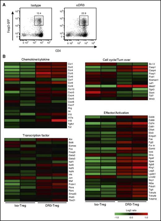 Figure 2. DR3-activated Foxp3+Tregs show a distinct gene expression profile. (A) The gating strategy for Treg isolation from FoxP3.Luci.DTR-4 mice. (B) Gene expression profiles of Iso-Treg and DR3-Treg. The expression changes in chemokine/cytokine, transcription factor, cell cycle/turn over and effector/activation molecules are shown as a heat map, where red and green represent the highest- and lowest-expressed genes, respectively.