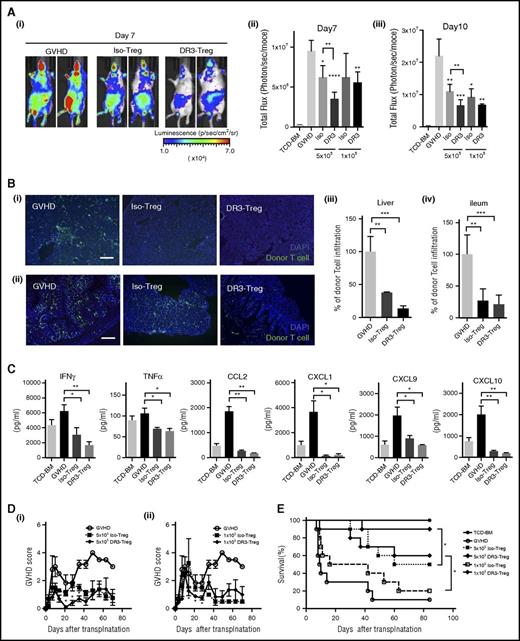 Figure 4. Expanded CD25+Foxp3+ Treg after DR3 activation prevent acute GVHD after allogeneic transplantation. CD4+CD25+ Treg (1 × 105-5 × 105/animal) from WT B6 mice with or without αDR3 treatment were transplanted together with T cells from B6-gfp/luc mice (1 × 106/animal) and TCD-BM from WT B6 mice into lethally irradiated Balb/c mice. (A) Donor T-cell proliferation in vivo was measured by BLI. Representative BLI image of GVHD control (left), Iso-Treg group (middle), and DR3-Treg group (right) on day 7 are shown. The summary of BLI on day 7 (ii) and day 10 (iii) are shown (n = 5; *P < .05; **P < .01; ***P < .001; ****P < .0001). (B) Representative immunohistochemistry images of liver (i) and ileum (ii) samples from transplanted mice on day 7 are shown (n = 3, green, donor T cells (GFP); blue, DAPI; scale bar, 200 μm). The frequencies of infiltrating donor GFP+ T cells into the tissue were calculated (iii-iv; n = 3; **P < .01; ***P < .001; ****P < .0001). (C) Serum inflammatory cytokine/chemokine levels (interferon γ, TNFα, CCL2, CXCL1, CXCL9, CXCL10) from transplanted mice are shown (n = 4 in each group; *P < .05; **P < .01). D-E. GVHD score and survival were assessed (n = 10 in each group; *P < .05).