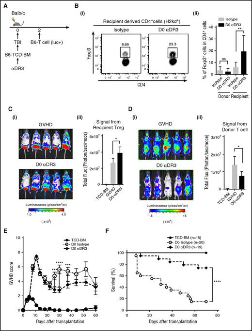 Figure 6. DR3 activation before alloantigen exposure promotes recipient-derived Treg expansion and prevented acute GVHD. (A) TCD-BM from WT B6 mice were transplanted into lethally irradiated Balb/c recipients on day 0, and T cells from B6-luc mice (1 × 106/animal) were injected on day 2 after transplant to induce acute GVHD. αDR3 or isotype control Ab was injected on day 0. (B) Splenic T cells were isolated on day 7 after transplant and the frequencies of Foxp3+ cells in donor- or recipient-derived CD4+ T cells were analyzed by FACS. (i) Representative dot plot data of recipient-derived CD4+T cells were shown. (ii) The summary of statistical analysis were shown (n = 7; n.s. = not significant; **P < .01). (C) Recipient-derived Treg proliferation with or without D0 αDR3 treatment was assessed using lethally irradiated (9.5 Gy) Foxp3-Luci4 mice as recipients. Representative images on day 7 are shown (i). Summary of BLI (ii) (n = 10; *P < .05). (D) Donor T-cell proliferation (from B6-luc mice) in the recipient mice (WT Balb/c mice) with or without D0 αDR3 treatment was assessed by BLI. Representative images on day 7 are shown (i). Summary of BLI is shown in (ii) (n = 10; *P < .05). (E-F) GVHD score and survival curve are shown (*** P < .001; ****P < .0001).