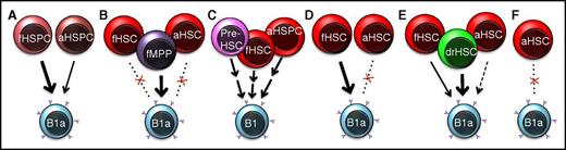 Figure 1. Proposed sources of tissue-resident B1a cells. The cellular origins of B1a cells have been debated since they were first identified as atypical B cells with unique functions and origins. (A) Early experiments led to the conclusion that fetal hematopoietic cells have superior B1a reconstitution capability compared with adult cells.10,14 (B) In 2016, Ghosn et al reported that the majority of B1a repopulation potential is provided by fetal putative progenitor cells as opposed to strictly defined fetal liver HSCs.22 (C) Montecino-Rodriguez et al, using a PU.1 hypomorph model, concluded that the first B1-cell generation is established prior to the existence of engraftable HSCs, with additional waves contributing during fetal and adult life.29 (D) Kristiansen et al used bar coding and single-cell transplantation31 to demonstrate that fetal HSCs are clonally capable of B1a-cell generation upon transplantation into adult recipients, whereas adult HSCs contributed little to B1a repopulation. (E) Beaudin et al showed that a small pool of drHSCs are uniquely apt to generate B1a cells compared with coexisting fetal liver HSCs, or adult BM HSCs.32 (F) Sawai et al used an HSC-specific pulse-labeling strategy to show that adult HSCs contribute minimally to B1a cells under homeostatic or interferon-challenged conditions in situ.35 HSPC, hematopoietic stem and progenitor cell; MPP, multipotent progenitor cell. An “f” prefix indicates fetal, an “a” indicates adult, and “dr” indicates developmentally restricted.