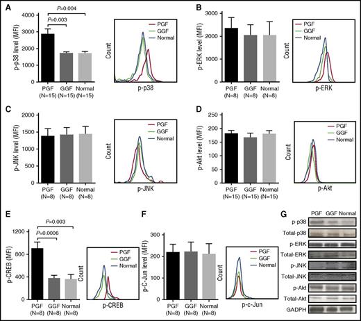 Figure 3. Elevated levels of intracellular phospho-p38 and its downstream transcription factor phospho-CREB in BM EPCs from PGF subjects compared with GGF subjects and normal controls. Flow cytometry revealed increased phospho-p38 (A) and phospho-CREB (E), whereas no significant differences in phospho-ERK (B), phospho-JNK (C), phospho-Akt (D), and phospho-c-Jun (F) expression in precultivated BM EPCs among subjects with PGF, subjects with GGF, and normal controls. Data are expressed as the MFI (mean ± SEM). (G) Representative western blots of phospho-p38, total p38, phospho-ERK, total ERK, phospho-JNK, total JNK, phospho-Akt, total Akt, and GADPH in cultivated BM EPCs at day 7 in culture among subjects with PGF, subjects with GGF, and normal controls.