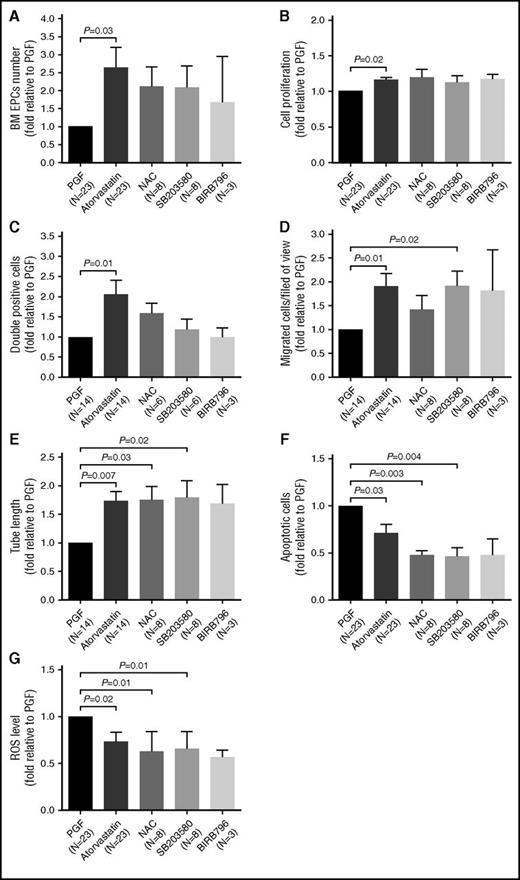 Figure 5. In vitro treatment with atorvastatin, p38 inhibitors, and ROS inhibitor demonstrated similar effects on the number and function of cultivated BM EPCs from PGF subjects. The cultivated BM EPCs from PGF subjects were incubated with atorvastatin (500 nM), NAC (1 mM), SB203580 (10 μM), or BIRB796 (400 nM). The effects of the different treatments on cell number (per well) (A), cell proliferation (B), double positive staining cells (per well) (C), migration (D), tube formation (E), apoptosis (F), and ROS levels (G) of cultivated BM EPCs from PGF subjects were compared at day 7 in culture. Data are expressed as fold-change relative to PGF.