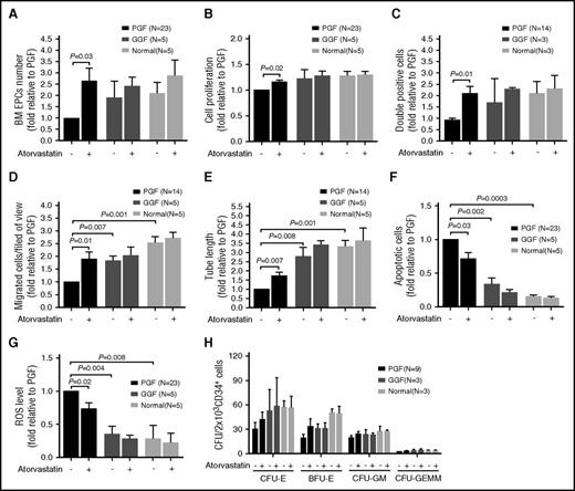 Figure 6. Atorvastatin displayed superior effects on the number and function of BM EPCs from PGF subjects compared with GGF subjects or normal controls. The cultivated BM EPCs from PGF or GGF subjects or normal controls were incubated with atorvastatin (500 nM). The effects of atorvastatin treatment on the cell number (A), cell proliferation (B), double positive staining cells (per well) (C), migration (D), tube formation (E), apoptosis (F), and ROS levels (G) of cultivated BM EPCs from PGF or GGF subjects or normal controls were compared at day 7 in culture. (H) CFU plating efficiency in CD34+ BM cells was analyzed after coculturing with the differently treated BM EPCs from PGF or GGF subjects or normal controls. The CFU outgrowth was improved with atorvastatin, but the results were not statistically significant. Data are expressed as the fold-change relative to PGF.