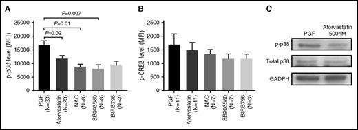 Figure 7. Atorvastatin reduced phospho-p38 MAPK activity in cultivated BM EPCs from PGF subjects. The cultivated BM EPCs from PGF subjects were incubated with atorvastatin (500 nM). Phospho-p38 (A) and phospho-CREB (B) expression was analyzed by flow cytometry in the cultivated BM EPCs at day 7 in culture. Data are expressed as the MFI (mean ± SEM). (C) Representative western blots of phospho-p38, total p38, and GADPH from cultivated BM EPCs at day 7 in culture among subjects with PGF, subjects with GGF, and normal controls.