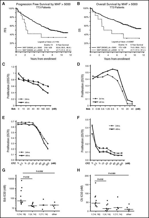 Figure 1. MM cells harboring t(14;16) are resistant to PIs in vitro and are associated with a poor prognosis in MM patients. PFS (A) and OS (B) according to MAF expression status in patients in the TT3 clinical study. APR1 (C,E) and H929 (D,F) and were seeded at 2 × 104 per well in 96-well plates and cultured in growth media in the presence of the indicated concentrations of Bzb (C-D) or CFZ (E-F) for 24 and 48 hours. Proliferation was measured by MTT assay. Results are presented as mean ± standard error (SE) (n = 4). Data are representative of 3 separate experiments. MM cells lines were treated with serial concentrations of Bzb (G) and CFZ (H) for 48 hours and proliferation was measured by MTT assay. The IC50 of Bzb (G) and CFZ (H) were classified based on molecular subgroups.