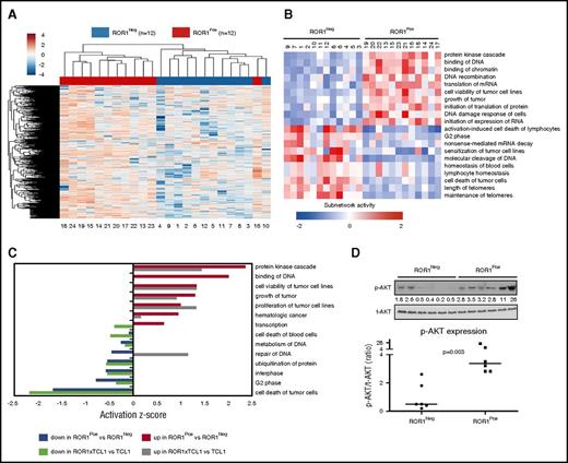 Figure 2. Differentially expressed genes and subnetworks in ROR1Pos vs ROR1Neg CLL cells. (A) Unsupervised clustering of ROR1Pos (n = 12, red) and ROR1Neg (n = 12, blue) CLL cases using log2 effective count z scores for 2000 genes expressed in all samples (effective count >0) with the largest coefficients of variation. Each column represents a separate case. (B) z scores from Ingenuity Pathway Analysis depicting the subnetwork–gene expression differences between ROR1Pos vs ROR1Neg CLL cases. The z score heat map depicts the top 10 most upregulated and top 10 most downregulated subnetworks. Each row represents the data for the subnetwork indicated at the right margin. (C) The z score of each of the 14 subnetworks that are expressed differentially by ROR1Pos (n = 12) vs ROR1Neg (n = 12) CLL cases that also were expressed differentially by the leukemia cells of ROR1xTCL1 (n = 4) vs TCL1 transgenic mice (n = 4). The color of the bar indicates whether the subnetwork is expressed at higher or lower level by ROR1Pos CLL relative to ROR1Neg CLL, or by ROR1xTCL1 leukemia cells relative to TCL1 leukemia cells, as indicated in the legend at the bottom of the figure. (D) Immunoblot analyses of whole cell lysates of ROR1Neg and ROR1Pos CLL as indicated at the top of the panel. Each lane represents a separate case. The membranes were probed with mAb-specific phospho-AKT (p-AKT Ser473) or total AKT (t-AKT) as indicated on the left margin. The ratios of the band densities for each case of p-AKT/t-AKT are provided in the dot plot on the right for ROR1Neg CLL cases vs ROR1Pos CLL cases, as indicated at the bottom. The horizontal bar provides the median ratio observed for each group. The Mann-Whitney U test was used to calculate the P value, indicating the significance of the difference in median values between the 2 groups.