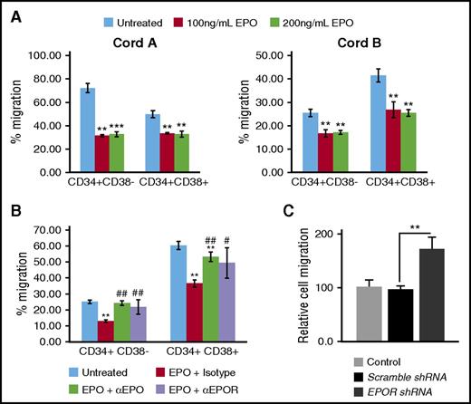 Figure 2. EPO exposure impedes stromal-derived factor-1–induced migration of UCB CD34+ cells. (A)The percentage of freshly enriched UCB CD34+ cell subsets CD34+CD38– and CD34+CD38– that migrated toward SDF-1 gradient after culture in erythropoietin at 100 and 200 ng/mL concentrations. (B) UCB CD34+CD38– and CD34+CD38+ populations cell migration toward SDF-1 after incubation with neutralizing EPO (αEPO) and EPOR (αEPOR) antibodies and culture in erythropoietin at 200 ng/mL concentration. (C) The percentage of EPOR-depleted UCB CD34+ cells migrated toward SDF-1 in the presence of erythropoietin at 200 ng/mL concentration relative to control (nontransfected UCB CD34+ cells) normalized to 100%. Two separate UCB units were examined with 3 experimental replicates per cord. The data are presented as mean ± SEM. Single (*), double (**), and triple (***) asterisks indicate statistical significance when compared with untreated. Single (#) and double (##) hatchmarks indicate statistical significance when compared with isotype control.