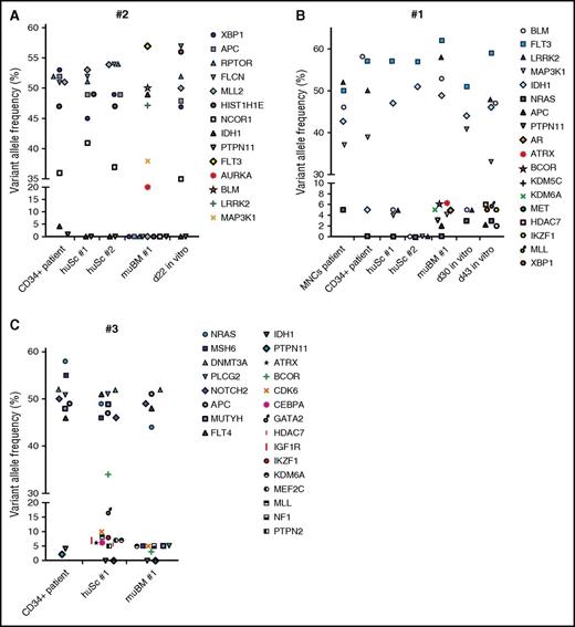 Figure 5. In vivo and in vitro maintenance of the genetic heterogeneity of the original AML patient samples. Exome sequencing to determine variant allele frequency in the leukemic populations for 3 representative AML samples: A, #2; B, #1; and C, #3. Vertical axis shows the percentage of variant reads per allele, corresponding to different somatic mutations indicated in the key. Several samples from the same AML are depicted on the horizontal axis. All samples were sorted for huCD45 expression before sequencing. VAF of ∼50% indicates clonal mutations with most likely heterozygous configuration. VAF of ∼100% indicates clonal mutations with homozygous configuration, whereas frequencies lower than 50% show the presence of subclonal mutations.