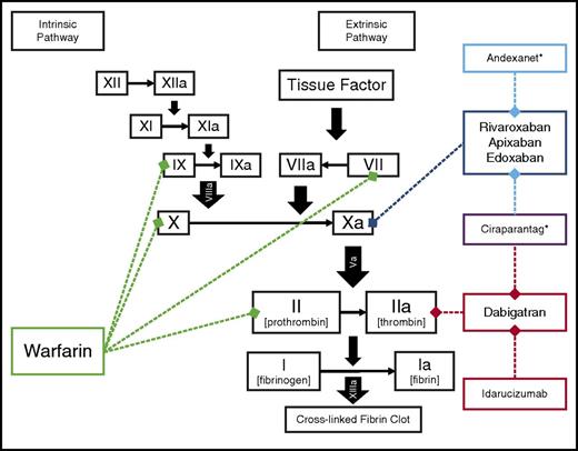 Figure 1. Sites of action for oral anticoagulants approved for stroke prevention in AF. Idarucizumab, andexanet,* and ciraparantag* are specific reversal agents for the NOAC.7,33,66 *Not currently approved for clinical use.