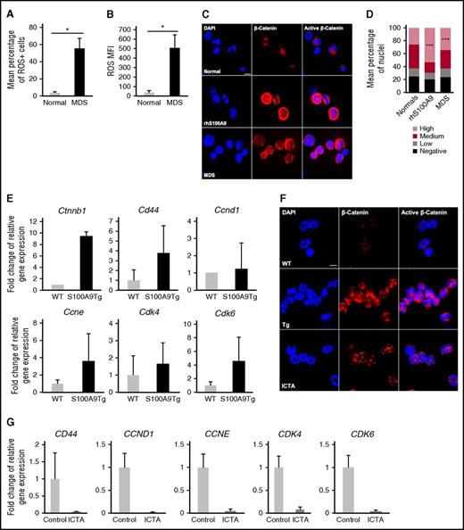 Figure 6. S100A9 induces ROS through NADPH oxidase to activate β-catenin. (A-B) The percentage of (A) ROS positive cells and (B) ROS-MFI assessed by flow cytometry in BM-MNCs isolated from MDS patients (n = 5) and normal donors (n = 2). (C) Representative micrograph (original magnification ×2520, 7.5 µm scale) of β-catenin expression in normal BM-MNCs (n = 3), normal BM-MNCs treated with 5 µg/mL rhS100A9 (n = 3), and MDS BM-MNCs (n = 6) (DAPI, blue; and β-catenin, red; merged images show nuclear β-catenin localization). (D) Quantitation and scoring of confocal images based on the presence of no, low, medium, or high nuclear β-catenin. (E) Wnt/β-catenin target gene expression in WT and S100A9Tg BM cells. (F) Representative micrograph (original magnification ×2520, 7.5 μm scale) of β-catenin expression in WT (n = 5), S100A9Tg (n = 5), and S100A9Tg mice that were treated with ICTA (n = 5) by oral gavage for 8 weeks (DAPI, blue; and β-catenin, red; merged images show nuclear β-catenin localization). (G) Wnt/β-catenin target gene expression in MDS BM-MNCs (n = 4) treated for 48 hours with ICTA. Error bars represent SE. *P < .05 and ***P < .001.