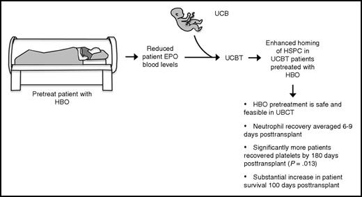 HBO pretreatment of UCBT is safe and may improve engraftment. A pilot clinical study was performed, with the primary end point of assessing the safety of HBO pretreatment of UCBT and secondary end points of evaluating the rates and kinetics of neutrophil and platelet engraftment. HBO pretreatment of UCBT was found to be safe and feasible. Neutrophil recovery averaged only 6 and 9 days for patients subjected to myeloablative and reduced-intensity conditioning, respectively, compared with 17 and 25 days for controls. One hundred percent of patients displayed platelet recovery by 180 days posttransplant, compared with only 69% of controls (P = .013). One hundred percent of HBO-treated patients survived 100 days posttransplant compared with only 76% of controls (P = .051).