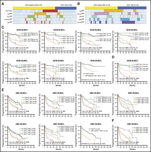 Figure 3. Correlation analysis and the robust prognostic effect of CD37 expression in patients with DLBCL. (A) A distribution plot showing that CD37− GCB-DLBCL (denoted by the yellow bar) more frequently had TP53 mutations (highlighted in red) or high levels of nuclear p50 (yellow), Myc (green), p-STAT3 (orange), and p65 (lighter red) expression compared with CD37+ GCB-DLBCL (denoted by the blue bar). (B) A distribution plot showing that CD37− ABC-DLBCL more frequently had high nuclear p50 (yellow) and survivin (pink) expression and BCL6 translocation (green), whereas CD37+ ABC-DLBCL more frequently had PI3K (blue) and CXCR4 (purple) overexpression. Each column in panels A and B represents 1 patient; cases without indicated abnormalities detected are shown in light blue (negative) or white (unknown). (C) In GCB-DLBCL, CD37 positivity predicted significantly improved survival, regardless of presence of TP53 mutations, p50high, Mychigh, p-STAT3high, GCET1high, and to a lesser extent, MYC translocations. Conversely, the adverse effect of CD37 negativity was independent of all these biomarkers. Particularly, CD37− patients without TP53 mutations and p50/Myc overexpression remained to have significantly worse survival than patients with CD37+ GCB-DLBCL. (D) In GCB-DLBCL, CD37 positivity predicted significantly better survival even when the patients had high IPI scores. (E) In ABC-DLBCL, the adverse prognostic effect of CD37 negativity was independent of p50, survivin, p63, PI3K, and CXCR4 expression and BCL6 translocations. In particular, CD37− patients without p50 and survivin overexpression remained to have significantly worse survival than patients with CD37+ ABC-DLBCL. (F) In ABC-DLBCL, CD37 and IPI had independent prognostic impact. The cutoffs for high/positive expression as indicated by p50+, Myc+, p-STAT3+, GCET1+, survivin+, p63+, PI3K+, and CXCR4+ in the figures were ≥20%, ≥70%, ≥50%, ≥50%, >25%, >5%, ≥70%, and ≥20%, respectively.