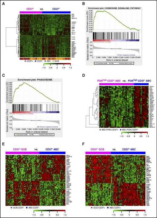 Figure 5. GEP analysis in DLBCL. (A) Heatmap for GEP comparison between CD37+ and CD37− DLBCL (FDR, <0.05). (B) The KEGG chemokine signaling pathway gene set was enriched in the CD37− DLBCL group with an enrichment score of 0.45 (FDR, 0.09). (C) The KEGG phagosome gene set was enriched in CD37− ABC-DLBCL with an enrichment score of 0.55 (FDR, 0.006). (D) Heatmap for GEP comparison between CD37+ ABC-DLBCL and CD37− ABC-DLBCL groups with high (≥70%) PI3K expression (FDR, <0.01). (E) Heatmap for genes differentially expressed between GCB and ABC subtypes of CD37− DLBCL with more than twofold difference (FDR, <0.01). (F) Heatmap for genes differentially expressed between GCB and ABC subtypes of CD37+ DLBCL with >2.4-fold difference (FDR, < 0.01).