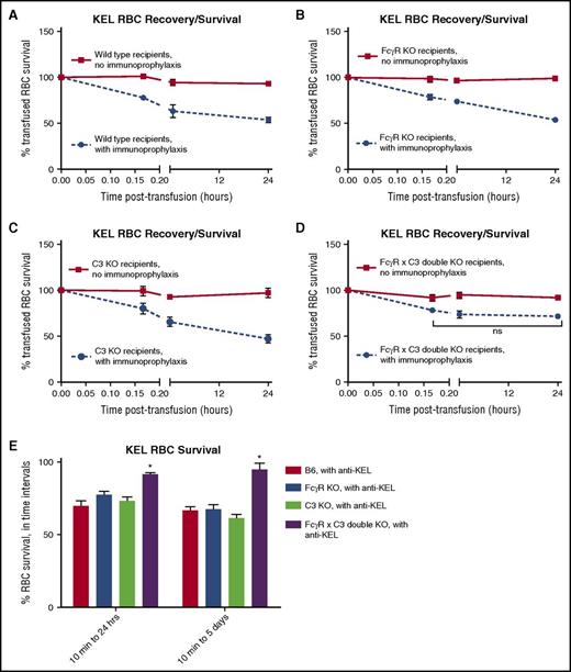 Figure 2. Immunoprophylaxis with anti-KEL sera leads to less RBC clearance in FcγR KO × C3 KO (double-KO) recipients compared with wild-type, FcγR KO, or C3 KO recipients. Posttransfusion clearance curves of KEL RBCs in (A) wild-type, (B) FcγR KO, (C) C3 KO, and (D) FcγR KO × C3 KO (double-KO) recipients, in the absence (solid line) or presence (dashed line) of immunoprophylaxis, to 24 hours. These data are representative of 2 or 3 independent experiments with 3 to 5 mice per group per experiment; error bars indicate SD between individual mice. (E) Comparison of percentage of KEL RBCs remaining between 10 minutes and 24 hours after transfusion (left) or 10 minutes and 5 days after transfusion (right) in the presence of anti-KEL immunoprophylaxis; *P < .05 by 2-way ANOVA between double-KO and all other recipients.