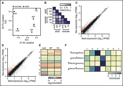 Figure 2. Both TN and MP CD8+ T cells from uninfected neonatal gBT-I mice express different genes from adults. (A) Principal component analysis on RNA-Seq data. Mean FPKM values from well-expressed genes were used from adult and neonatal bulk (total), TN, and MP cells. Bulk adult, MP adult, and MP neonatal samples consist of 3 pooled biological replicates; bulk neonatal, TN adult, and TN neonatal samples consist of 2 pooled biological replicates. The percentage of the overall variation accounted for by principal components 1 (x-axis) and 2 (y-axis) is indicated for each axis. Gene loadings for principal components 1 and 2 are shown in supplemental Figure 2. (B) Color-coded pairwise Spearman rank correlation coefficients comparing FPKM values for genes that are significantly differentially expressed between adults and neonates in at least 1 sample; P < 1015 for all comparisons. (C) Gene expression values for adults and neonates in MP cells. Gray indicates lowly expressed genes, black indicates nondifferentially expressed genes, orange indicates the 126 genes upregulated in neonatal cells, and blue indicates the 159 genes upregulated in adult cells. (D) Gene expression values for adults and neonates in TN cells, where 204 genes are upregulated in neonatal cells and 195 genes are upregulated in adult cells. (E) Clustering of genes in all samples. Fold-change differences for significantly differentially expressed genes were calculated between adults and neonates. Clustering was performed to identify genes with similar differences in expression in each sample; fold-change for each gene is plotted in each sample, and genes are shown in their clusters. (F) Genes in each cluster were compared with genes that define naïve cells before infection and effector or memory cells after infection. Enrichment was calculated as number of genes in each cluster compared with the number expected. Significance was determined by Fisher exact tests; *P < .05, **P < .005, ***P < .0005. See supplemental Table 1 for gene expression values and clustering.
