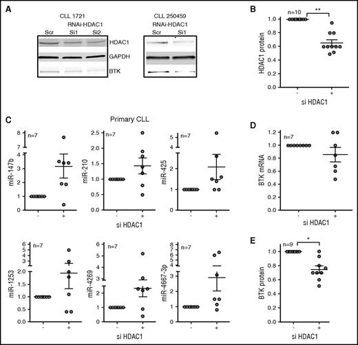 Figure 4. RNAi against HDAC1 induces BTK-targeting miRs to reduce BTK protein in primary CLL cells. (A-B) Primary CLL cells were nucleofected with small interferring RNA (siRNA) against HDAC1 for 48 hours before being harvested for RNA and protein. The top panel shows the effect of siRNA-HDAC1 on HDAC1 protein. GAPDH was used as a loading control (middle panel). The bottom panel shows the consequence of si-HDAC1 on BTK protein. The figure is representative of 10 independent transfections. (B) Quantitation of the effect of siHDAC1 on HDAC1 protein. Data represent mean ± SEM of 10 CLL samples (P < .01, paired Student t test). (C) The expression of miR-147b, miR-210, miR-425, miR-1253, miR-4269, miR-4667-3p was quantitated in the primary CLL cells nucleofected in (A). Data represent mean ± SEM of 7 CLL samples. (D) The expression of BTK mRNA in the primary CLL cells nucleofected in (A). Data represent mean ± SEM of 7 CLL samples. (E) The expression of BTK protein (P < .05, Wilcoxon signed rank test) in the primary CLL cells nucleofected in (A). Data represent mean ± SEM of 9 CLL samples. *P ≤ .05; **P ≤ .01.