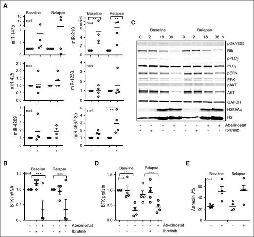Figure 6. HDAC inhibition effectively targets the C481S-mutant BTK clone in ibrutinib-resistant CLL. (A) Induction of miR-147b, miR-210, miR-425, miR-1253, miR-4269, and miR-4667-3p in response to abexinostat in paired CLL samples obtained at baseline or after acquisition of the C481S BTK clone while the patient was receiving ibrutinib therapy. Data represent mean ± SEM of 4 CLL samples (P < .01 for miR-210 before and after ibrutinib resistance had developed, and P < .01 for miR-4667-3p after ibrutinib resistance had developed; mixed effects model). (B) Effect of ibrutinib or abexinostat on BTK mRNA in paired CLL samples obtained at baseline or after acquisition of the C481S BTK clone while the patient received ibrutinib therapy. Data represent mean ± SEM of 4 CLL samples (P < .01; mixed effects model). (C) Effect of ibrutinib or abexinostat at 18 and 36 hours on BTK phosphorylation, protein, and signaling in paired CLL samples obtained at baseline or after acquisition of the C481S BTK clone while the patient received ibrutinib therapy. Levels of H3K4Ac3 were evaluated as a measure of HDAC inhibition, and H3 was measured as a control for H3K9Ac. (D) The decrease in BTK protein was quantitated; data represent mean ± SEM of 4 CLL samples (P < .001; mixed effects model). (E) Effect of abexinostat on CLL survival at 48 hours as measured by increase in percentage of annexin V–positive cells in paired CLL samples obtained at baseline or after acquisition of the C481S BTK clone while the patient received ibrutinib therapy. ***P ≤ .001.