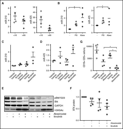 Figure 7. Role of HDACs in silencing the BTK-targeting miR in the TCL1 model of CLL and consequence of the combination of abexinostat and ibrutinib on BTK protein, signaling, and leukemia cell survival in vivo. (A) CLL cells were isolated from the spleen of TCL1 transgenic mice before (CD19+CD5+ cells <10%) and after developing CLL (CD19+CD5+ cells >90%). RNA was extracted and used to quantitate the expression of miR-210 and miR-425 (P < .05 for miR-425, two-sample Student t test). (B) CLL cells from TCL1 mice with leukemia (CD19+CD5+ cells >90%) were exposed to either panobinostat or abexinostat for 18 hours and then evaluated for the expression of miR-210 and miR-425 (P < .05 for both, paired Student t test). (C-D) Mice were randomly assigned to vehicle/vehicle (control), abexinostat/vehicle, ibrutinib/vehicle, or a combination of abexinostat and ibrutinib for 2 weeks. Spleen CLL cells were isolated and used to quantitate miR-210 and miR-425 (P < .05 for miR-210 with the combination; analysis of variance). (E) CLL cells from TCL1 mice with leukemia (CD19+CD5+ cells >90%) were left untreated or exposed to abexinostat, ibrutinib, or the combination before being assayed for p-BTK and BTK. GAPDH was used as a loading control, and H3K9/14 was assayed to measure HDAC inhibition. (F) BTK protein was quantified in CLL cells from (E) (P < .05 for the combination vs vehicle; paired Student t test). (G) Mice were randomly assigned to vehicle/vehicle (control), abexinostat/vehicle, ibrutinib/vehicle, or a combination of abexinostat and ibrutinib for 2 weeks. Spleen CLL cells were isolated from each group, and the number of CD19+CD5+ CLL cells was quantitated (P < .05 for the combination over treatment with each individual drug; mixed effects model). *P ≤ .05.