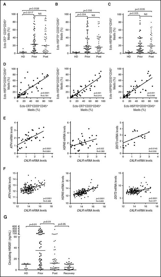 Figure 1. Chemotherapy-independent emission of danger signals by malignant AML blasts. (A-C) Percentage of ecto-CRT+ (A), ecto-HSP70+ (B), or ecto-HSP90+ (C) CD45+CD33+ cells from 10 healthy donors (HD) or 50 patients with AML before (Prior) or after (Post) the initiation of induction chemotherapy. Median values are reported. NS, nonsignificant. (D) Correlation between the percentage of ecto-CRT+, ecto-HSP70+, and ecto-HSP90+ CD45+CD33+ cells measured in 50 patients with AML before induction chemotherapy. R, Pearson correlation coefficient. (E) Correlation between CALR mRNA levels and ATF4, HSP5A, or DDIT3 mRNA levels in 34 patients with AML before induction chemotherapy. (F) Correlation between CALR mRNA levels and ATF4, HSP5A, or DDIT3 mRNA levels in 173 patients with AML from the TGCA public database. (G) Circulating HMGB1 levels from 10 HD or 50 patients with AML before the initiation of induction chemotherapy (Prior), 12 hours after induction chemotherapy (Post), or at the reestablishment of normal hematopoiesis (Recovery). Median values are indicated.