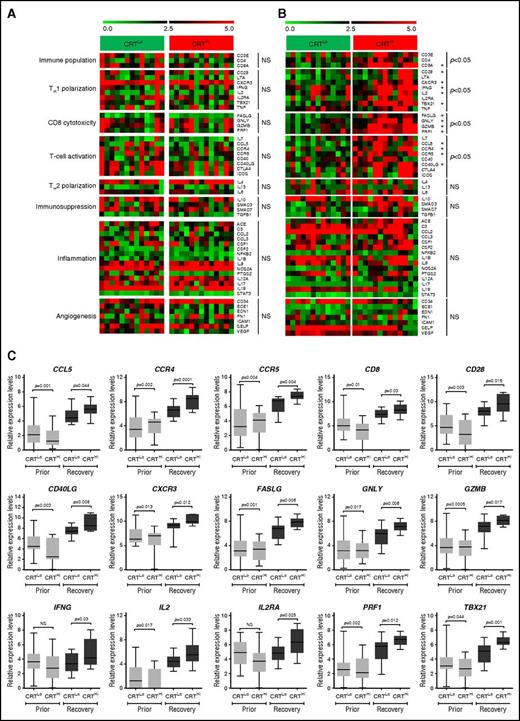 Figure 2. Transcriptional signatures of PBMCs in patients with AML exhibiting robust vs weak CRT exposure on blasts. (A-B) Expression levels of genes from the Human Immune Panel TaqMan low-density array in PBMCs from 13 CRTHi vs 13 CRTLo patients with AML prior to the initiation of induction chemotherapy (A), or at recovery of normal hematopoiesis (B). The Mann-Whitney test was employed to assess intergroup variations. (C) qRT-PCR–assisted quantification of CD8A, CD28, CXCR3, IFNG, IL2, IL2RA, TBX21, FASLG, GNLY, GZMB, PRF1, CCL5, CCR4, CCR4, CCR5, CD40LG expression levels in PBMCs from 13 CRTHi vs 13 CRTLo patients with AML prior to the initiation of induction chemotherapy, or at recovery of normal hematopoiesis. Box plots: lower quartile, median, upper quartile; whiskers, minimum value, maximum value.