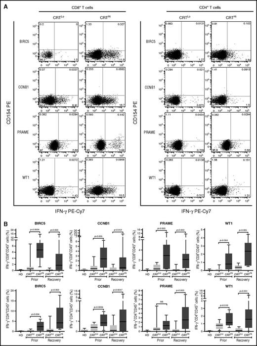 Figure 4. Antigen-specific immune responses in patients with AML exhibiting ecto-CRT+ vs ecto-CRT−blasts. (A-B) Representative dot plots (A) and quantitative data (B) of IFN-γ–secreting CD45+CD3+CD4+ T cells and CD45+CD3+CD8+ T cells from 10 HD or 15 CRTHi vs 15 CRTLo patients with AML before induction chemotherapy (Prior, B) and at reestablishment of normal hematopoiesis (Recovery, A-B), upon exposure of the corresponding PBMCs to peptide mixture spanning BIRC5, CCNB1, PRAME, or WT1. Box plots: lower quartile, median, upper quartile; whiskers, minimum value, maximum value.