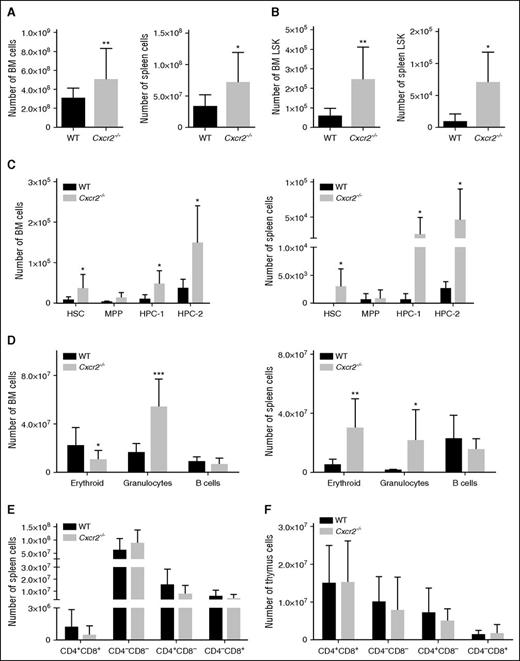 Figure 4. Cxcr2−/− mice show an expansion of the stem cell compartment. (A) BM (left) and spleen (right) from WT mice (n = 6) or Cxcr2−/− mice (n = 6) were harvested and assessed for total cellularity. (B) Numbers of LSK cells for BM (left) and spleen (right) from WT mice or Cxcr2−/− mice. (C) Numbers of HSC, MPP, HPC-1, and HPC-2 in the BM (left) and spleen (right) from WT mice or Cxcr2−/− mice are shown. (D) Numbers for BM (left) and spleen (right) erythroid, granulocytic, and B-cell populations from WT and Cxcr2−/− mice are shown. (E) Numbers for T-cell populations in the WT and Cxcr2−/− spleen identified with CD4 and CD8 markers are shown. (F) Numbers for T-lineage populations in the WT and Cxcr2−/− thymi identified with CD4 and CD8 markers are shown. Statistical analysis was performed using an unpaired two-tailed Student t test. All error bars indicate SEM of the mean (*P < .05; **P < .01; ***P < .001) (n = 6).