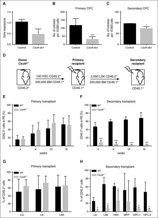 Figure 7. Inhibition of Cxcl4 reduces colony formation in vitro and Cxcl4−/− HSCs show a reduction in engraftment in secondary BM transplantation assays. (A) WT BM cells enriched for c-Kit+ were transduced with a Cxcl4-shRNA vector or control, and mRNA level analyzed by RT-PCR (n = 2). (B-C) Positively transduced cells were selected using GFP, and plated into primary (B) and secondary (C) CFC assays. Data are presented as the mean colony numbers from Cxcl4-shRNA transduced cells or the control. (D) Experimental layout for CD45.2+ HSCs from WT or Cxcl4−/− mice transplanted into irradiated CD45.1+ recipients (n = 5 per strain). (E) Engraftment for primary transplant was analyzed in the blood every 4 weeks posttransplant up to 16 weeks. (F) After the primary recipients were sacrificed, CD45.2+ LSK cells were transplanted into irradiated recipients (n = 5). Engraftment was analyzed in the blood every 4 weeks posttransplant up to 16 weeks. (G) A percentage of CD45.2+ cells was analyzed in different BM populations after 16 weeks from primary transplant, and compared between WT and Cxcl4−/− mice. (H) Percentage of CD45.2+ cells was analyzed in different BM populations after 16 weeks from secondary transplant, and compared between WT and Cxcl4−/− mice. Data are presented as the mean percentage of CD45.2+ cells within the PB. *P < .05; ***P < .001.
