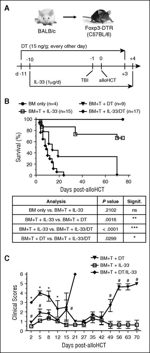 Figure 3. Tregs mediate the GVHD-protective capacity of peri-alloHCT delivery of IL-33. (A) Foxp3-DTR B6 mice were administered 15 ng/g DT starting on day −11 (every other day) concurrently with daily IL-33 administration starting on day −10. On day −1, mice received lethal TBI (1100 cGy) followed by 1 × 107 WT BALB/c TCD-BM alone or with 2 × 106 BALB/c pan T cells on day 0. DT was continued through day +3 and IL-33 through day +4 posttransplant. (B) Resulting survival curves with statistical significances calculated by log-rank (Mantel-Cox) test (*P < .05, **P < .01, ***P < .001). (C) Recorded clinical scores are presented. Significant differences for each point with ≥3 mice were calculated between: (1) BM + T cells + IL-33 vs BM + T cells + DT/IL-33 (*P < .05) or (2) BM + T cells + DT vs BM + T cells + IL-33 (#P < .05) using an unpaired Student t test.