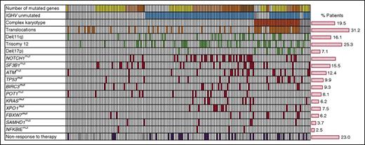 Figure 2. Genetic profiles and treatment response of patients. Each column represents 1 patient (n = 161) and each row 1 particular genetic parameter or treatment response (last row). The histogram on the right summarizes the % frequency of patients who presented with the row parameter in our study cohort. Color code: gray, parameter not available; white, parameter not present; any other color, parameter present. First row (number of mutated genes): white = 0 genes mutated; yellow = 1 gene mutated; light orange = 2 genes mutated; orange = 3 genes mutated; brown = 4 and more genes mutated.