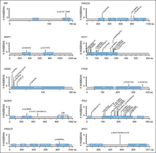 Figure 3. Protein and protein-subdomain localization of mutations/indels in genes previously undescribed in CLL or associated with prognosis. x-axis: length of the protein in amino acids (aa); y-axis: number of mutations at a given protein position. Blue boxes represent important subdomains or motifs of each protein (modified according to MutationMapper v1.0.1).52 Red pins, nonsense or frameshift alterations; green pins, missense mutations; black pins, in-frame alterations.