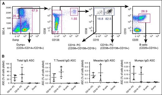 Figure 6. CD19− PCs produce vaccine/pathogen-specific antibodies. (A) Bone marrow aspirate cells from healthy donors were sorted into 4 populations (CD19+ PCs, CD19− PCs, B cells, and Dump+) and were analyzed by ELISPOT. (B) Total IgG, tetanus toxoid–, measles-, or mumps-specific IgG-producing cells were enumerated by ELISPOT. Each symbol represents an individual donor. Means and standard deviations are indicated. For total IgG, all pairwise comparisons demonstrated a P value of .0625 except CD19+ PC vs CD19− PC and B cells vs Dump. For tetanus toxoid, all pairwise comparisons demonstrated a P value of .0625 except B cells vs Dump. For measles, only CD19+ PC vs B cells and CD19+ vs Dump comparisons demonstrated a P value of .0625. P values for all other pairwise comparisons were .1088 or greater (Wilcoxon signed-rank test). ASC, antibody-secreting cells.