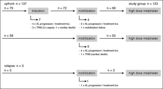 Figure 1. CONSORT diagram. Numbers of patients during the induction, mobilization, and HDM phase of the study for all patients with available iFISH results and reasons why patients dropped out during the induction and mobilization phase before HDM.