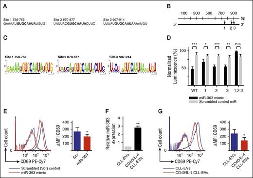 Figure 2. Transfer of CLL-EVs containing miR-363 to CD4+ T cells downregulates the expression of the immunomodulatory receptor CD69. (A) Potential binding sites for miR-363 in the 3′ UTR of human CD69 identified by TargetScan v7.0. (B) Diagram showing the position of the 3 miR-363–binding sites (labeled 1, 2, and 3) (TargetScan v7.0) in the CD69 3′ UTR. The 3′ UTR has a total length of 995 bp and site 1 is at 758 bp, site 2 at 870 bp, and site 3 at 907 bp. (C) Plots demonstrating conservation of miR-363–binding sites (horizontal black lines). Sequences from 6 species (human, mouse, dog, cat, cow, and rabbit) were compared (weblogo.berkely.edu). The overall height of the stack indicates the sequence conservation at that position, whereas the height of symbols within the stack indicates the relative frequency of each amino or nucleic acid at that position. (D) Luciferase activity, in HEK293T cells, following cotransfection of reporter constructs with either miR-363 mimic or scrambled control miRNA expressed as percentage of luciferase activity following transfection of the reporter construct alone. Five reporter constructs were tested: wild-type (WT), construct-bearing mutations of site 1 (labeled 1), construct-bearing mutations of site 2 (labeled 2), construct-bearing mutations of site 3 (labeled 3), and construct-bearing mutations of sites 1, 2, and 3 (labeled 1, 2, 3). The miR-363 mimic caused repression of luciferase activity compared with the scrambled control unless all 3 miR-363 sites were mutated (n = 4). Mean ± SEM. The 2-tailed Student t test was used (***P < .001, **P < .01, *P < .05). (E) Flow cytometry histograms showing repression of CD69 expression in the human Jurkat T cells following transfection with miR-363 mimic. T cells were either transfected with scrambled control miRNA (solid blue line) or miR-363 mimic (solid red line) and stimulated with PMA/ionomycin. FACS histograms for control unstimulated cells are shown as red and blue dotted lines. Bar chart shows that miR-363 mimic caused a significant (Student t test, *P < .05) reduction in MFI (n = 4). (F) Incubation of primary CD4+ T cells with autologous CLL-EVs following CD40/IL-4 stimulation increased intracellular levels (relative change) of T-cell miR-363. Mean ± SEM from 3 separate experiments are shown (Student t test, **P < .01). (G) Flow cytometry analysis revealing that incubation of primary CD4+ T cells with autologous CLL-EVs following CD40/IL-4 stimulation (red line) led to significant suppression of CD69 expression following crosslinking of T cells with anti-CD3/CD28 compared with the treatment of T cells with control CLL-EVs from unstimulated CLL cells (blue line). Dotted lines are the respective isotype control experiments. The bar chart shows changes to MFI expression of CD69 following treatment with CLL-EVs (Student t test, *P < .05) (n = 4). FACS, fluorescence-activated cell sorter; MFI, mean fluorescence intensity; n.s., not significant; PE, phycoerythrin; Scr, scrambled; SEM, standard error of the mean.
