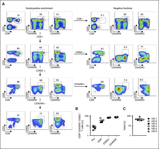Figure 1. Enrichment of naive CD8+ T cells by Fab-streptamer technology. (A) Flow cytometry analyses of fresh human PBMCs from a healthy donor (HD) prior to and after sequential enrichment of CD8+, CD62L+, and CD45RA+ cells with Fab multimers conjugated with Strep-Tactin–functionalized magnetic beads. Living lymphocytes in the respective positive and negative fractions of each selection step are shown. Data are shown after gating on live cells. Numbers indicate the percentage of cells in each gate. (B) Percentage of CD8+CD62L+CD45RA+ T cells prior to and after each selection step from 6 HDs; mean value ± standard error of the mean (SEM) is indicated. (C) Percentage yields of the target CD8+CD62L+CD45RA+ T cells from 6 HD; mean value ± SEM is indicated.