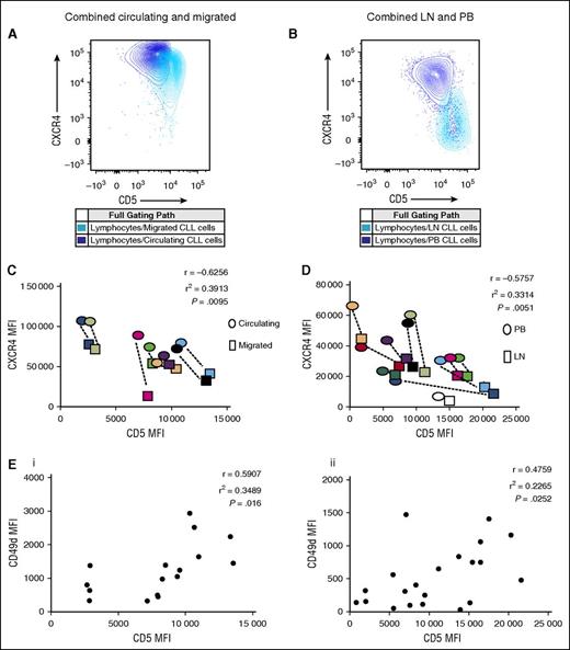 Figure 4. Both models show a negative correlation between CD5 and CXCR4 but a positive correlation between CD5 and CD49d. (A) A representative figure showing matched circulating and migrated CD19+CD5+ CLL cells from a single patient harvested after 48 hours in the circulation system. Compared with each other, the migrated CLL cells are CD5brightCXCR4dim and the circulating cells CD5dimCXCR4bright. (B) A representative figure showing matched PB and LN CD19+CD5+ CLL cells from a single patient. The LN-CLL cells are CD5brightCXCR4dim and the PB cells CD5dimCXCR4bright. (C) For both the migrated and circulating CD19+CD5+ CLL cells, the MFI of the CD5 and CXCR4 were established and show a negative correlation. This was done on 8 patients and a color assigned to each patient. For each case, the dots surrounded by a colored box represents the result for the migrated and that surrounded by an oval in the same color represents the matched circulating result. In each case, the migrated cells have higher CD5 and lower CXCR4 than the circulating ones. (D) The same was done for the LN and PB CD19+CD5+ CLL cells from 11 patients. In each case, the LN-derived CLL cells have higher CD5 and lower CXCR4 (box) than those from the PB (oval). (E) In both the circulating/migrated model (Ei) and the LN/PB model (Eii), CD5 and CD49d positively correlate. Each solid circle represents the CD5 MFI plotted against the CD49 MFI for an individual patient sample.