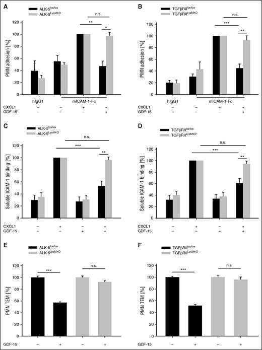 Figure 2. The inhibitory effect of GDF-15 on PMN adhesion, and transendothelial migration is abolished in ALK-5 and TGF-βRII null PMNs. (A-D) PMNs of ALK-5LysMKO or TGF-βRIILysMKO mice or littermate controls without the Cre transgene (ALK-5lox/lox or TGF-βRIIlox/lox) were preincubated with GDF-15 (100 ng/mL) for 20 minutes followed by stimulation with CXCL1 (100 ng/mL) for 1 minute (where indicated), before adhesion to hIgG1 or ICAM-1-Fc coated support was determined (A-B); or binding to soluble ICAM-1-Fc (1.5 μg/1 × 106 cells) and α-human IgG-APC antibody (0.75 μg/1 × 106 cells) was determined by flow cytometry (C-D). (E-F) Transendothelial migration of PMNs from ALK-5lox/lox, TGF-βRIIlox/lox, ALK-5LysMKO, or TGF-βRIILysMKO mice (as indicated) through a TNF-α–stimulated bEnd.5 cell monolayer in transwell filters along a CXCL1 chemotactic gradient was analyzed. Where indicated, PMNs were incubated with GDF-15 (100 ng/mL) for 20 minutes before transmigration. Data are pooled from 4 (A,C,F), 3 (B,D), and 5 (E) independent experiments with 6 replicates in each adhesion experiment and with at least 3 replicates in each transendothelial migration assay. Data are shown as mean ± SEM. *P < .05; **P < .01; ***P < .001. n.s., not significant; TEM, transendothelial migration.