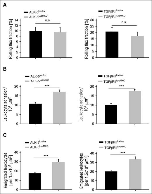 Figure 3. Gene inactivation of ALK-5 or TGF-βRII in myeloid cells enhances intraluminal neutrophil adhesion and extravasation in cremaster venules. IVM of the inflamed cremaster of ALK-5lox/lox, TGFβRIIlox/lox, ALK-5LysMKO, and TGF-βRIILysMKO mice 4 hours after intrascrotal injection of 50 ng IL-1β. (A) Rolling flux fraction, (B) leukocyte adhesion, and (C) leukocyte extravasation in postcapillary venules. Data are shown as mean ± SEM. *P < .05; **P < .01; ***P < .001.