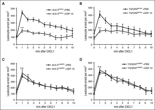 Figure 4. ALK-5 and TGF-βRII are required for GDF-15–induced inhibition of chemokine-triggered neutrophil arrest in cremaster venules. IVM of chemokine-induced leukocyte arrest in postcapillary venules of the cremaster muscle of ALK-5lox/lox (A) or TGF-βRIIlox/lox (B) control mice, and of ALK-5LysMKO (C) and TGF-βRIILysMKO (D) mice. Fifteen-second movies were taken before and 1 minute after intra-arterial injection of CXCL1 (600 ng) every minute for 10 minutes. GDF-15 (4 μg) or vehicle was intra-arterially injected 15 minutes before the experiment. Number of analyzed mice were 6 (A-B,D) and 5 (C). Data are shown as mean ± SEM. *P < .05; **P < .01; ***P < .001.