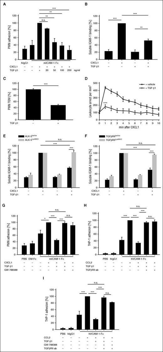 Figure 5. TGF-β1 inhibits PMN interaction with ICAM-1, transendothelial migration, and in vivo intraluminal arrest. (A) Adhesion of WT PMNs to hIgG1 or ICAM-1-Fc coated on tissue culture dishes. PMNs were incubated with 20, 50, 100, or 200 ng/mL TGFβ-1 for 20 minutes at 37°C before stimulation with 100 ng/mL CXCL1 for 1 minute. (B) PMNs were incubated with ICAM-1-Fc (1.5 μg/1 × 106 cells) and α-human IgG-APC antibody (0.75 μg/1 × 106 cells) after preincubation, where indicated, for 20 minutes with TGFβ-1 (100 ng/mL) and/or with CXCL1 (100 ng/mL) for 3 minutes at 37°C. (C) Transendothelial migration of WT PMNs through a TNF-α–stimulated bEnd.5 cell monolayer in transwell filters along a CXCL1 chemotactic gradient. PMNs were incubated with TGF-β1 (100 ng/mL) or solute for 20 minutes before transmigration. (D) IVM of chemokine-induced leukocyte arrest in postcapillary venules of the cremaster muscle of WT mice. Fifteen-second movies were taken before and 1 minute after intra-arterial injection of CXCL1 (600 ng) every minute for 10 minutes. TGF-β1 (4 μg) or vehicle was intra-arterially injected 15 minutes before the experiment. (E-F) Binding of soluble ICAM-1-Fc (1.5 μg/1 × 106 cells) after a 20 minute preincubation with TGF-β1 (100 ng/mL) and a 3 minute stimulation with CXCL1 (100 ng/mL) (where indicated) to ALK-5lox/lox and ALK-5LysMKO PMNs (E) and TGF-βRIIlox/lox and TGF-βRIILysMKO PMNs (F). (G-I) Adhesion of PMNs (G) or THP-1 cells (H-I) to either ICAM-1-Fc or EM-Fc (G), or hVCAM-1-Fc or hIgG1 (H-I). Cells were preincubated with GW-788388 (200 nM) (G) or with 50 μg/mL anti-hTGF-βRII blocking antibody or control antibody (H) or both (I) for 10 minutes at RT before 20 minutes TGF-β1 incubation (100 ng/mL). Where indicated, CXCL1 or CCL2 (100 ng/mL) was added for 1 minute. Data are pooled from 4 (A,C,E-H), 3 (B,I), and 6 (D) independent experiments. Data are shown as mean ± SEM. *P < .05; **P < .01; ***P < .001. TEM, transendothelial migration; WT, wild-type.