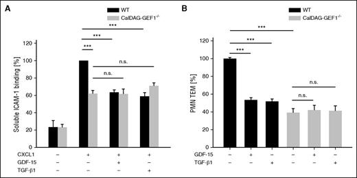 Figure 7. GDF-15 and TGF-β1–induced inhibition of integrin activation and leukocyte transmigration depend on CalDAG-GEF1. (A) PMNs from either WT or CalDAG-GEF1−/− mice were incubated for 20 minutes with GDF-15 or TGF-β1 (100 ng/mL), followed by CXCL1 (100 ng/mL) for 3 minutes at 37°C (where indicated) before binding of soluble ICAM-1-Fc (1.5 μg/1 × 106 cells) and α-human IgG-APC antibody (0.75 μg/1 × 106 cells) was determined by flow cytometry. (B) Transendothelial migration of PMNs from WT or CalDAG-GEF1−/− mice (as indicated) through a TNF-α–stimulated bEnd.5 cell monolayer in transwell filters along a CXCL1 chemotactic gradient was analyzed after preincubation of the cells with 100 ng/mL of GDF-15 or 100 ng/mL TGF-β1 (as indicated) for 20 minutes before transmigration. Data of 3 independent experiments were pooled (A-B). Data are shown as mean ± SEM. *P < .05; **P < .01; ***P < .001.